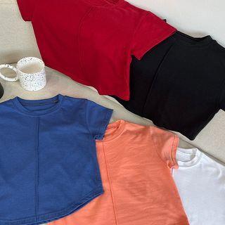 Pintuck Round-hem Cropped T-shirt