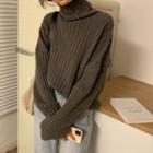 Long-sleeve High-neck Plain Knit  Sweater