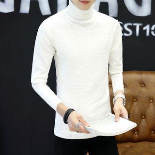 Long-sleeve Plain Turtleneck Sweater