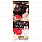Dariya - Salon De Pro Speedy Hair Manicure (#6 Dark Brown) 1 Set
