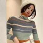 Long-sleeve Turtle Neck Striped Ribbed Knit Top As Shown In Figure - One Size