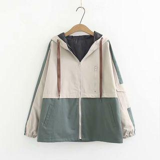 Hooded Zip Jacket / Shirt With Tie