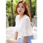 Frill-sleeve Laced Top