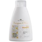 Pattrena - Orieatal Thai Spa 2 In 1 Shampoo (frangipani & Ylang) 300ml