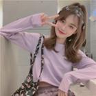 Cropped Crewneck / Hooded T-shirt