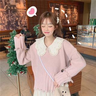 Collar Panel Sweater