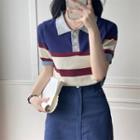 Short-sleeve Striped Knit Top Stripe - Blue & Wine Red & Beige - One Size