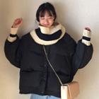 Padded Buttoned Coat / Knit Scarf / Set