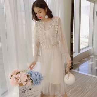 Set: Lace Panel Long Sleeve Mesh Dress + Slipdress