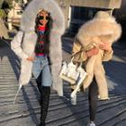 Hidden-button Faux-fur Detail Jacket