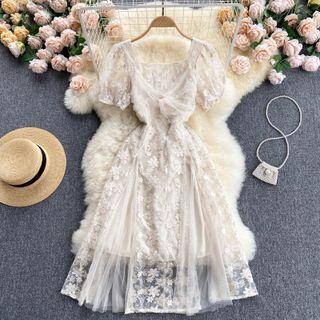 V-neck Mesh Panel Embroidered Dress