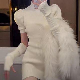 Short-sleeve High-neck Plain Mini Knit Dress