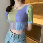 Color Block Short-sleeve Knit Crop Top