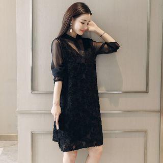 Set: Long-sleeve Sheer Top + Sleeveless Shift Dress