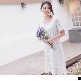 Short Sleeve Lace Shift Dress