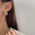 Layered Hoop Drop Earring 1 Pair - Layered Hoop Drop Earring - Gold - One Size