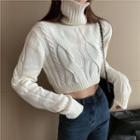 Turtle-neck Crop Sweater