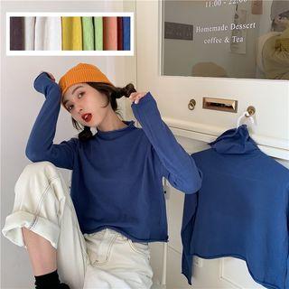 Plain Mock-neck / Turtle-neck Long-sleeve Slim-fit Top
