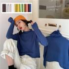 Plain Mock-neck / Turtle-neck Long-sleeve Slim-fit Top