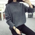 Turtleneck Plain Loose-fit Sweater