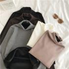 Fleece-lined Turtle-neck Long-sleeve Top