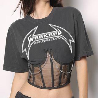 Mesh Panel Lettering Cropped T-shirt