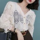 Long-sleeve V-neck Crochet Cut-out Lace Top