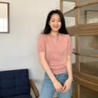 Short-sleeve Color Knit Top