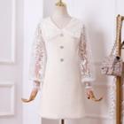 Lantern-sleeve Embroidered Mini A-line Dress
