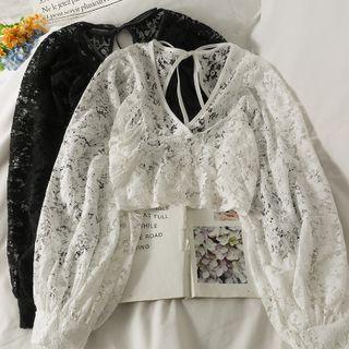 Tie-back Sheer Lace Crop Top