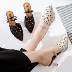 Perforated Pointed Slide Pumps