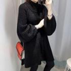 Plain Loose-fit Turtle-neck Knit Dress