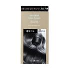 The Saem - Silk Hair Color Cream Gray Hair Cover: Hairdye 60g + Oxidizing Agent 60g (#black) 60g + 60g