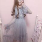 Star Sequin Long-sleeve Mesh A-line Dress