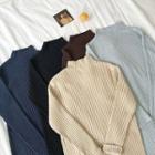 Plain Mock-neck Striped Long-sleeve Knit Dress