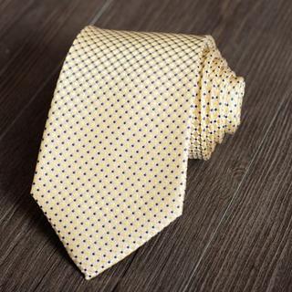 Patterned Silk Neck Tie Zs65 - One Size