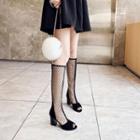 Dotted Mesh Peep-toe Tall / Short Boots