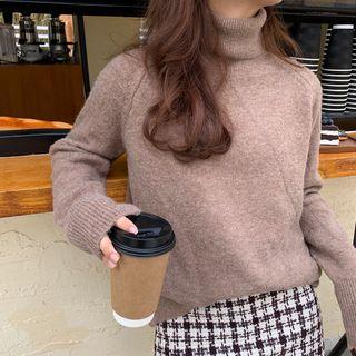 Raglan Sleeve Turtleneck Plain Sweater