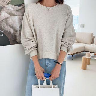 Raglan-sleeve Cropped Sweatshirt