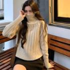 Long-sleeve Turtle Neck Ribbed Knit Top