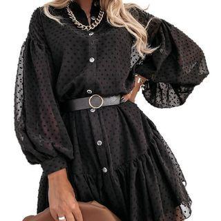 Long-sleeve Button-up Mesh Mini Dress