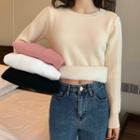 Plain Fleece-lined Knit Top