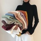 Turtleneck Long-sleeve Top (various Colors)