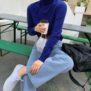 Basic Turtleneck Knit Top (12 Colors)