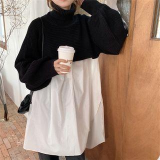 Turtle Neck Long Sleeve Crop Sweater / Long Sleeve Shirt Dress