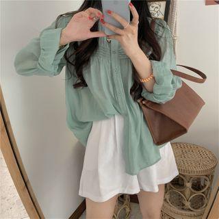 Long-sleeve Buttoned Sheer Blouse