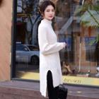 Turtle-neck Raglan-sleeve Long Sweater