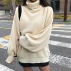 Set: Turtle-neck Cropped Top + Round-neck Vest