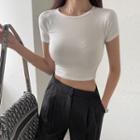 Raglan-sleeve Crop T-shirt