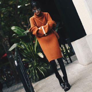 Turtleneck Bell Sleeve Knit Dress